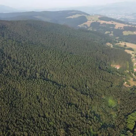 El Olivo Apartamento Villabanez (Cantabria)